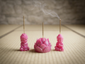 Blush Lotus Serenity Incense Set